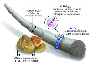 Size comparisons of different particulates