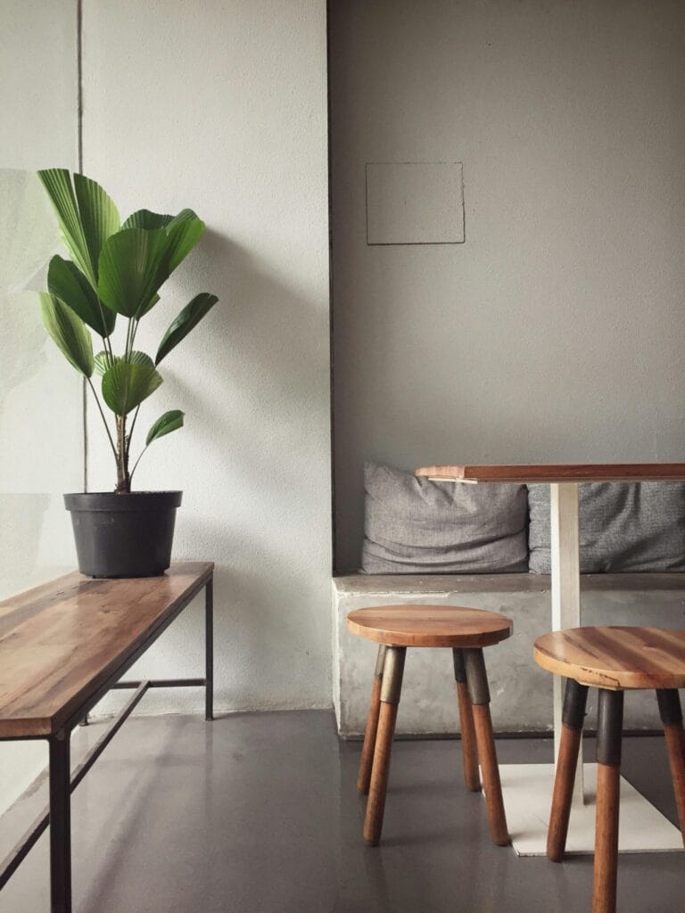 A minimalist, modern indoor seating area with wooden furniture and a potted plant